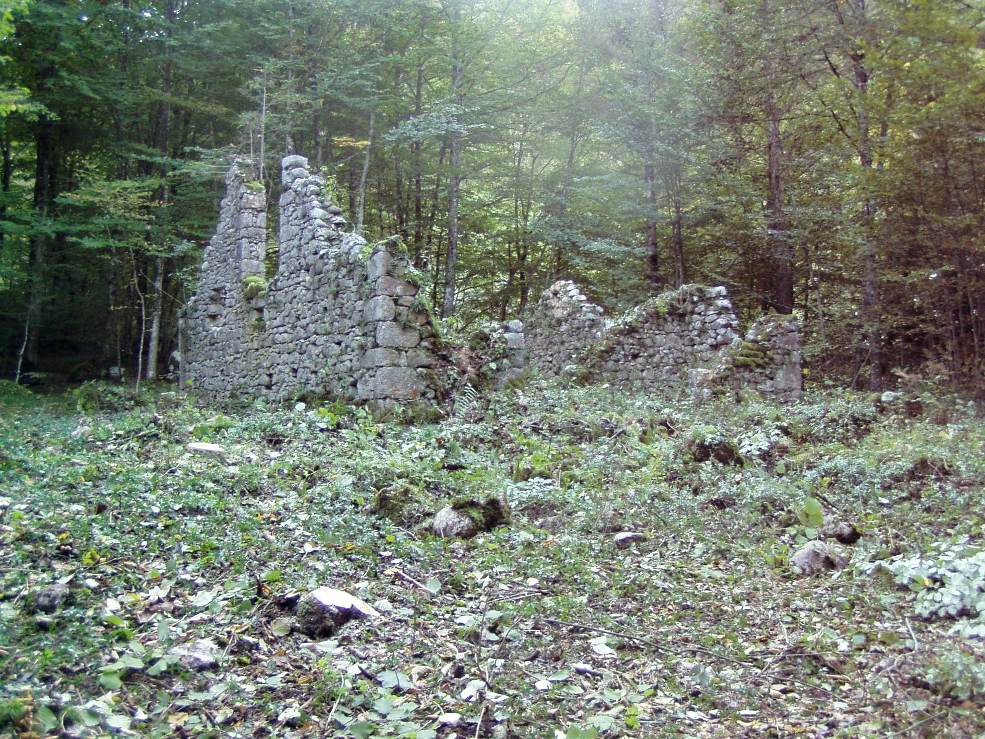 La nostra storia